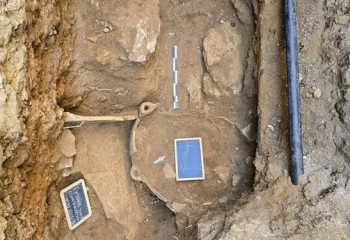 В Италии нашли амфору VI века до н. э. с останками младенца