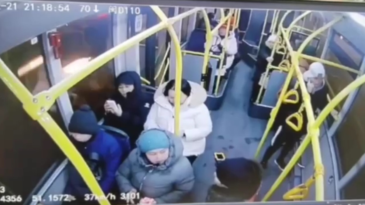  Видеодан кадр 