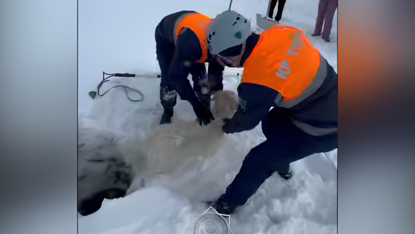  © кадр из видео 