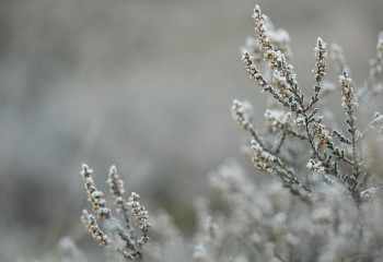 Қатты жауын-шашын: алдағы күндері ауа райы қандай болады