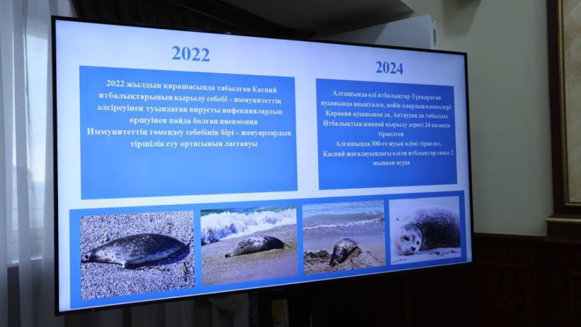  пресс-служба акима Мангистауской области 