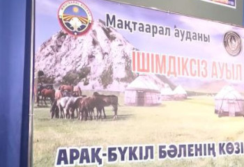 Түркістан облысында тағы бір ауыл ішімдіктен бас тартты