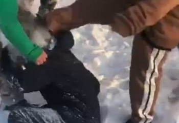 Семейде бір топ оқушы жас баланы аяусыз соққыға жыққан