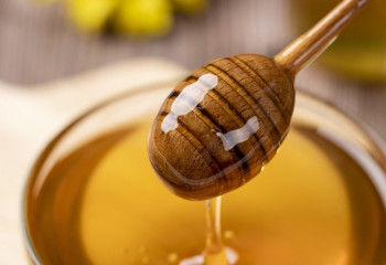 Қазақстан енді Еуропалық одаққа бал экспорттайды