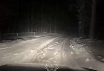 Қостанайда серуендеуге шыққан зейнеткер орманда адасып қалған