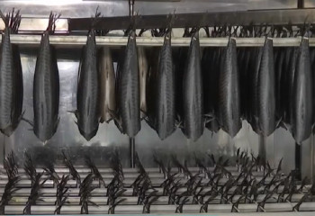 Владелица цеха в Мангистау требует у полиции 4,5 млн тенге за незаконно изъятую рыбу