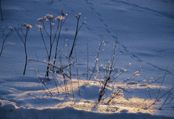 Елдің көп бөлігінде қар жауады