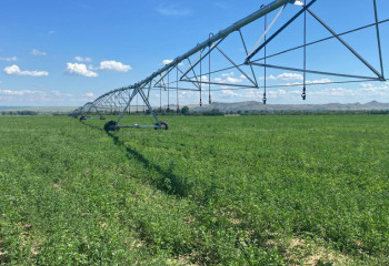 В Казахстане начнут выпускать 1000 дождевальных машин в год