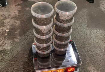 Маңғыстауда 11 келі қара уылдырық тәркіленді