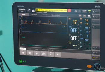 О дүниеге барып келген ер адам не көргенін айтып берді
