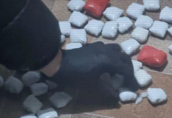 Қазақстанда ақпан айында 17 есірткі зертханасы жойылды