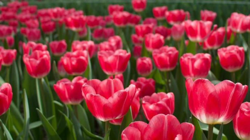  Ғылым және жоғары білім министрлігі 