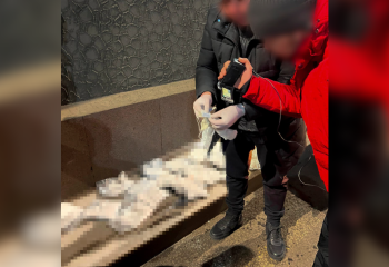 В Жамбылской области и Алматы силовики изъяли 13 кг мефедрона