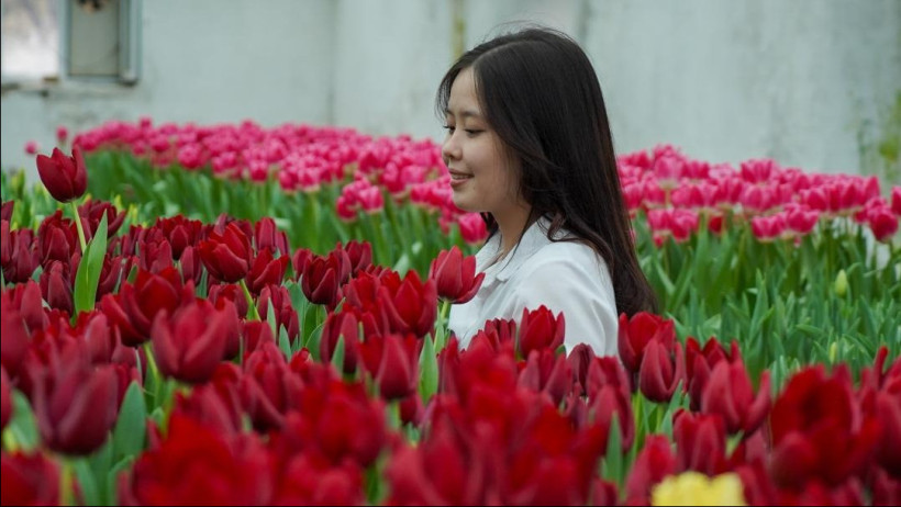  Министерство науки и высшего образования Республики Казахстан 