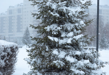 Көктемнің алғашқы күніне арналған ауа райы болжамы