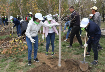 Алматыда 5 мың түп ағаш отырғызылады