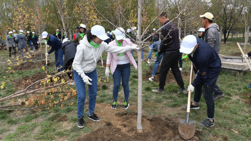  Алматы қалалық әкімдігі 