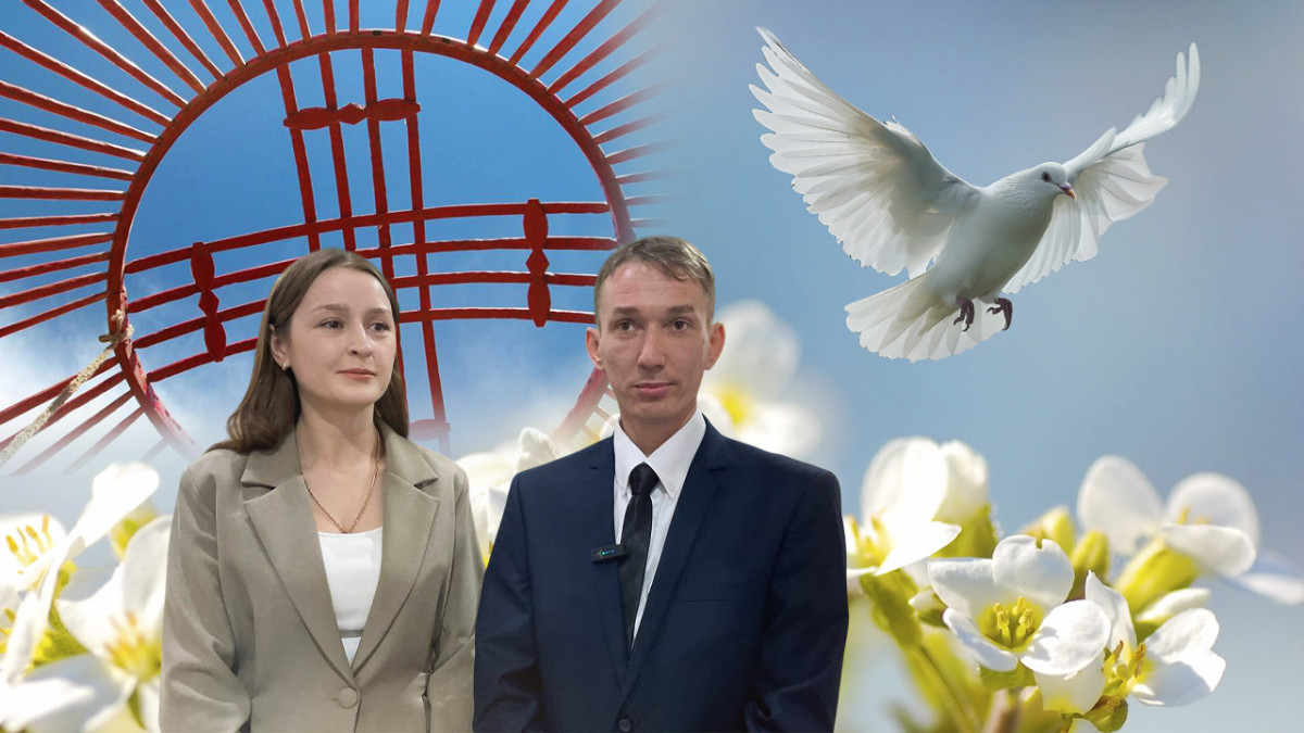  Коллаж El.kz 