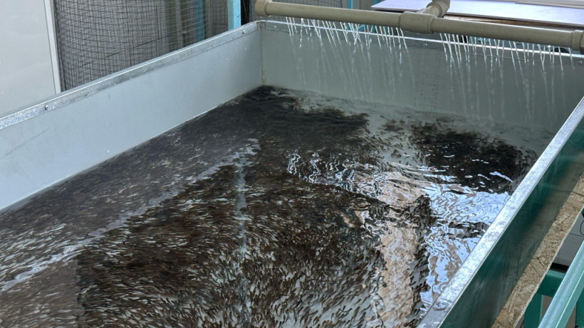  © Пресс-служба Управления образования области Абай 