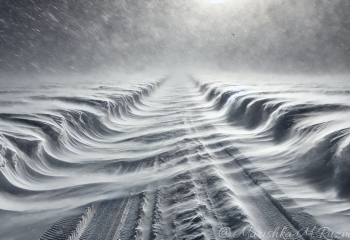 Прогноз погоды на 3 марта: дождь, снег, гололёд и туман в ряде регионов Казахстана