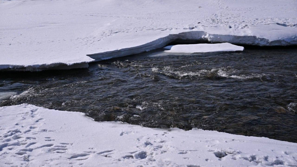  Абай облысы әкімдігі 