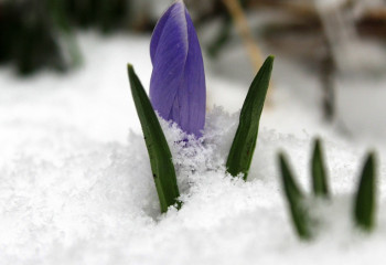 Қазақстанда алдағы күндері ауа райы қандай болады