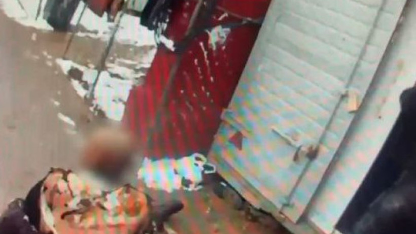  Видеодан кадр 