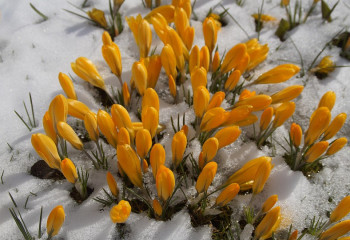 4 наурыз күні елімізде ауа райы қандай болады