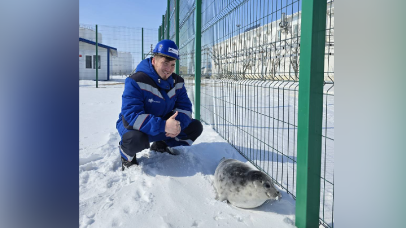  КазМунайГаз 