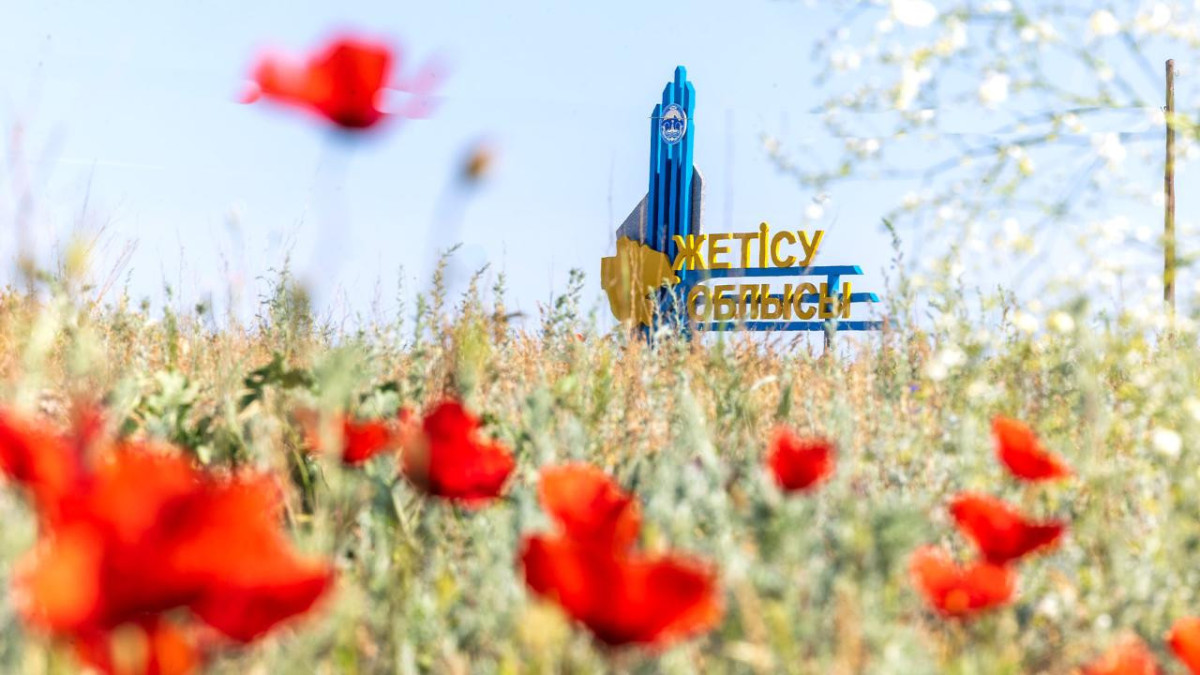  Жетісу облысының әкімдігі 