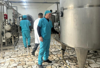 Более 70 тонн верблюжьего молока в год перерабатывает завод в Туркестане