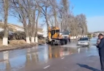 Ұзынағашта 30 үйдің ауласы су астында қалды