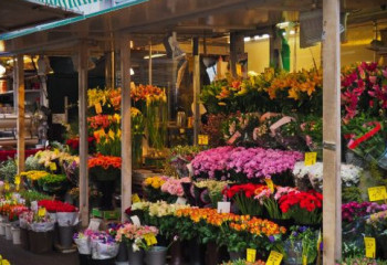 Қазақстан гүлді қай елдерден импорттайды