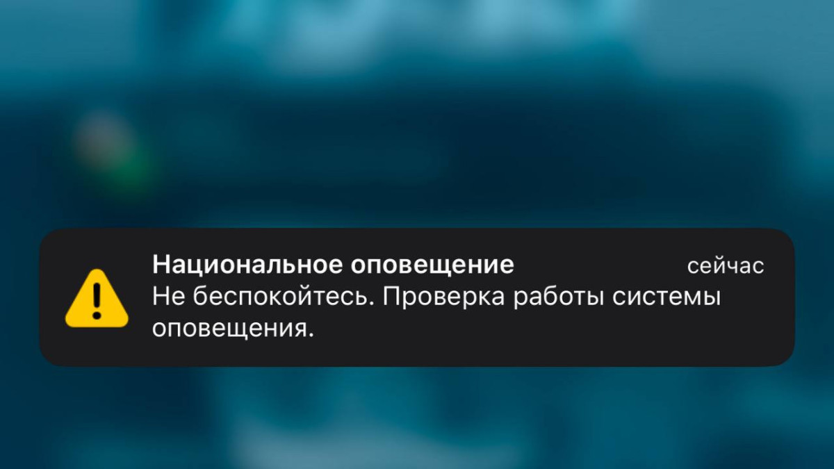  t.me/syrymitkulov 