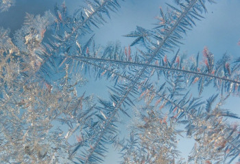 Алдағы күндері 20 градусқа дейін аяз болады