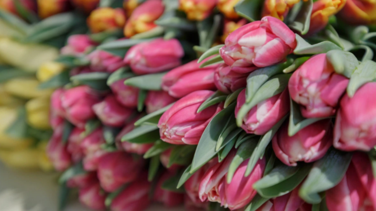  ©El.kz/Артем ЧУРСИНОВ 