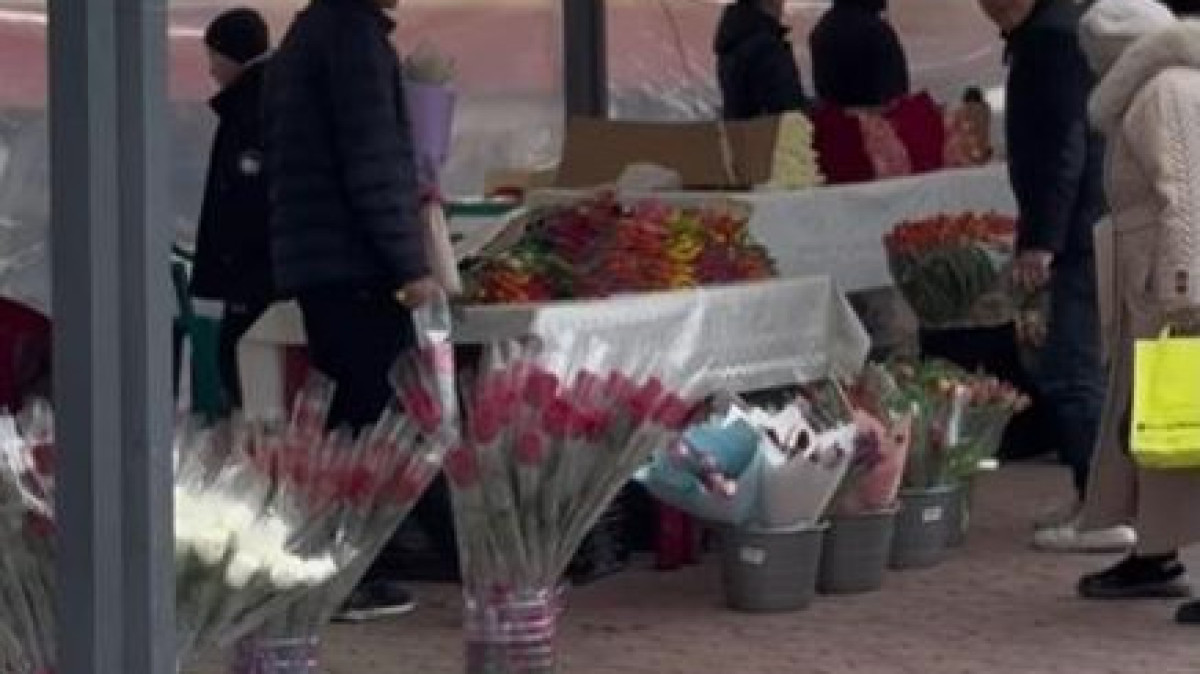  Шымкент әкімдігі 