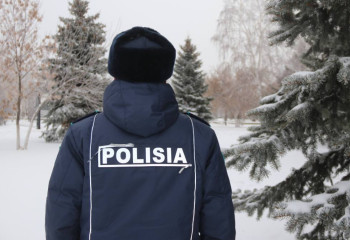 Ақмола облысында заңсыз ағаш кесу фактісі анықталды