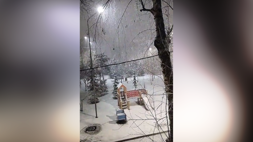  кадр из видео 