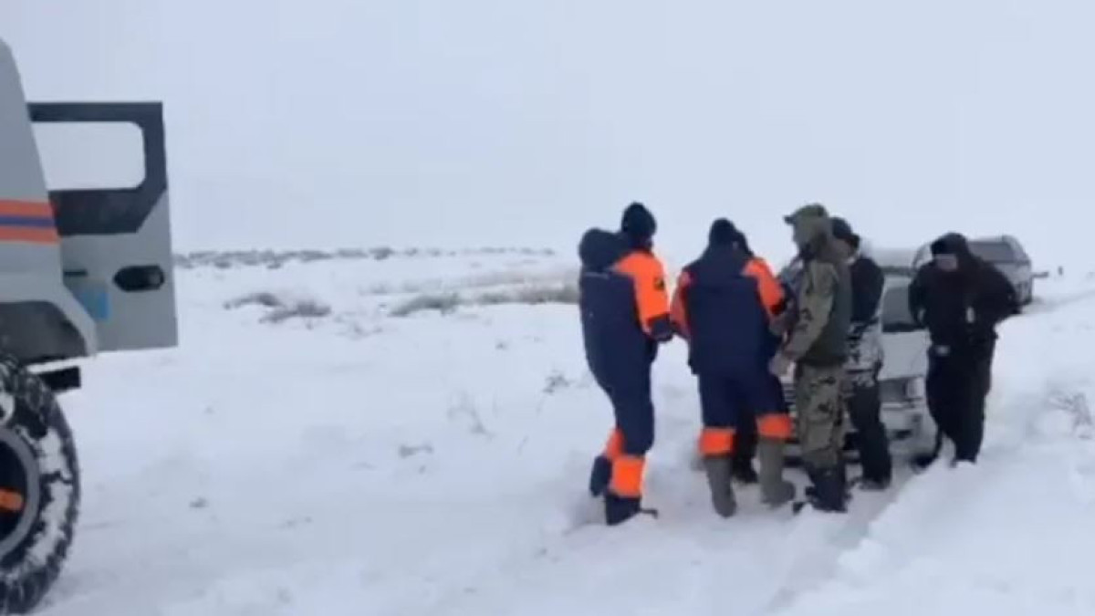  видеодан кадр 