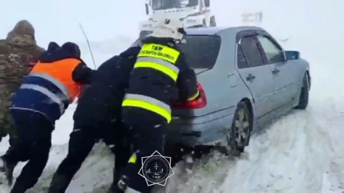  Кадр из видео 