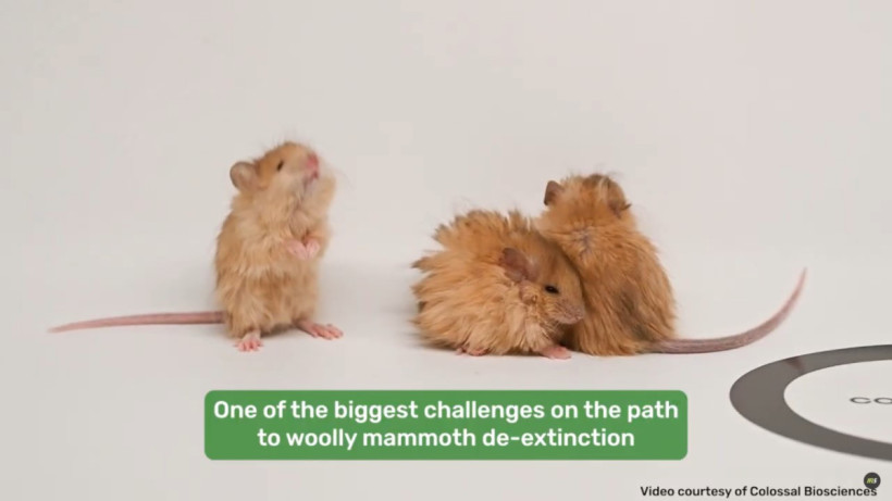  Кадр из видео 