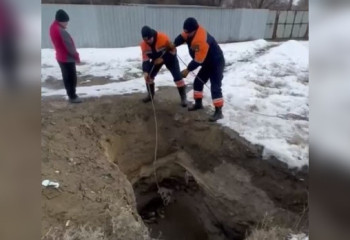 В области Жетісу спасли упавшую в яму собаку