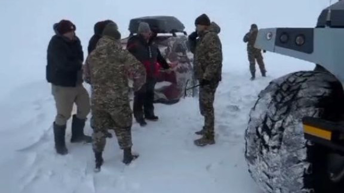  Видеодан кадр 