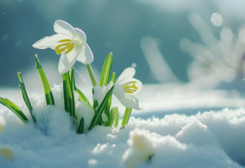 Қар, тұман, жаңбыр: 11 наурызда ауа райы қандай болады