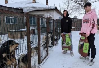 «Таза Қазақстан»: Абай ауданының еріктілері баспанасыз жануарларға көмектесті