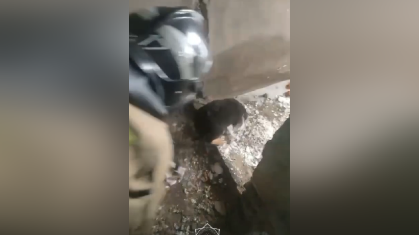  кадр из видео 