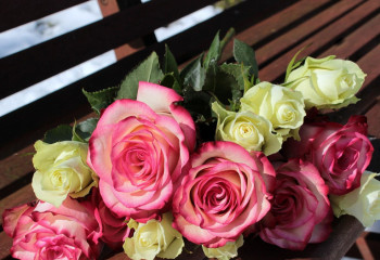 Қазақстандықтар 8 наурызда гүл сатуға тыйым салуды ұсынды