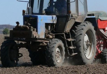 Шымкентте 23 мың гектарға ауыл шаруашылығы дақылдары егіледі