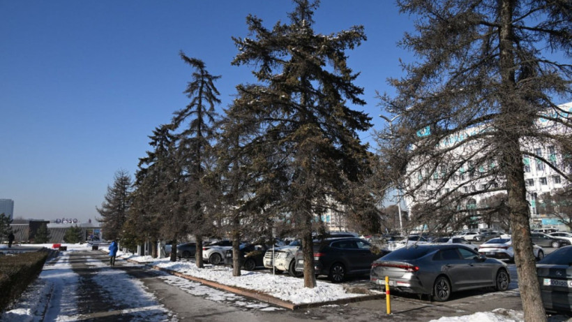  ©Пресс-служба акимата Алматы 